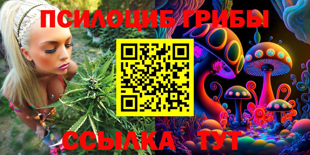Сибай  наркотики  Галлюциногенные грибы Psilocybe  Вход с VPN  Галлюциногенные грибы Psilocybine cubensis 