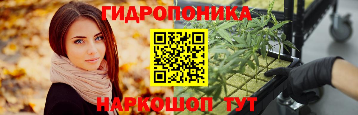 Канабис планчик  Шишки марихуана OG Kush  Вход с VPN  Шишки марихуана SATIVA & INDICA  Сибай 